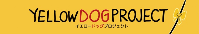Yellowdogproject２.jpg